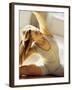 Blond Stretching-null-Framed Photographic Print