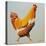 Blonde Chicken-Heidi Martin-Stretched Canvas