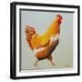 Blonde Chicken-Heidi Martin-Framed Premium Giclee Print