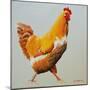 Blonde Chicken-Heidi Martin-Mounted Premium Giclee Print