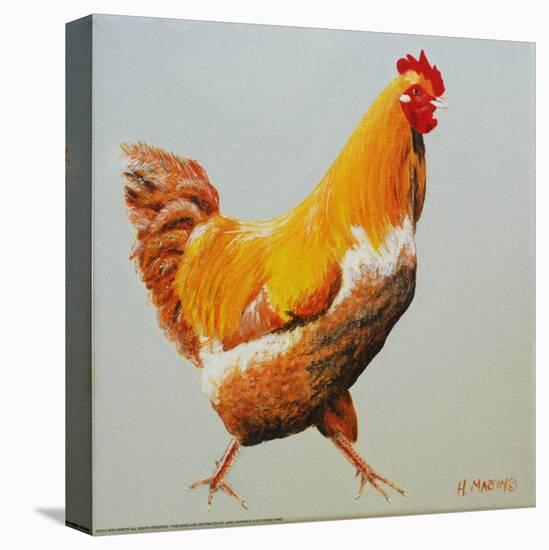 Blonde Chicken-Heidi Martin-Stretched Canvas