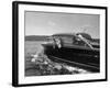 Blondie, the Pet Lion, Fascinated by the Water as She Takes Her First Ride in Chris Craft Motorboat-Joe Scherschel-Framed Photographic Print