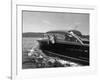 Blondie, the Pet Lion, Fascinated by the Water as She Takes Her First Ride in Chris Craft Motorboat-Joe Scherschel-Framed Photographic Print