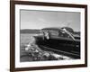 Blondie, the Pet Lion, Fascinated by the Water as She Takes Her First Ride in Chris Craft Motorboat-Joe Scherschel-Framed Photographic Print