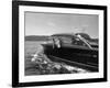 Blondie, the Pet Lion, Fascinated by the Water as She Takes Her First Ride in Chris Craft Motorboat-Joe Scherschel-Framed Photographic Print