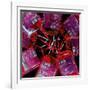 Blood Bags-Kevin Curtis-Framed Photographic Print