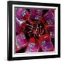 Blood Bags-Kevin Curtis-Framed Photographic Print