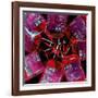 Blood Bags-Kevin Curtis-Framed Photographic Print