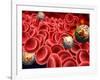 Blood Cells-PASIEKA-Framed Photographic Print