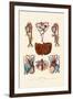 Blood Circulation, 1833-39-null-Framed Giclee Print