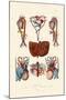 Blood Circulation, 1833-39-null-Mounted Giclee Print