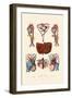 Blood Circulation, 1833-39-null-Framed Giclee Print