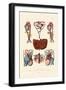 Blood Circulation, 1833-39-null-Framed Giclee Print
