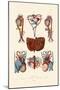 Blood Circulation, 1833-39-null-Mounted Giclee Print
