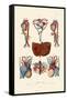Blood Circulation, 1833-39-null-Framed Stretched Canvas