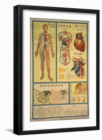 Blood Circulation and Coagulation-null-Framed Art Print