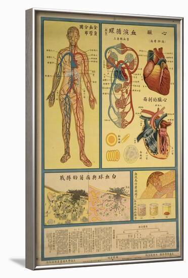 Blood Circulation and Coagulation-null-Framed Art Print