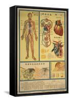 Blood Circulation and Coagulation-null-Framed Stretched Canvas