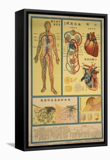 Blood Circulation and Coagulation-null-Framed Stretched Canvas