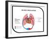 Blood Circulation (Human Body)-udaix-Framed Art Print