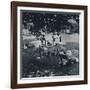 'Blood donors', 1941-Cecil Beaton-Framed Photographic Print