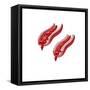 Blood Flow Through a Relaxed Artery Verus an Artery in Spasm-null-Framed Stretched Canvas