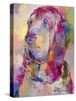 Blood Hound-Richard Wallich-Stretched Canvas