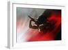 Blood Like Lemonade-Paulo Abrantes-Framed Giclee Print