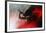 Blood Like Lemonade-Paulo Abrantes-Framed Giclee Print