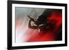 Blood Like Lemonade-Paulo Abrantes-Framed Giclee Print