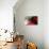 Blood Like Lemonade-Paulo Abrantes-Stretched Canvas displayed on a wall