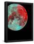 Essential Black