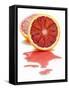 Blood Orange, Halved-Shawn Hempel-Framed Stretched Canvas