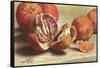 Blood Oranges-null-Framed Stretched Canvas