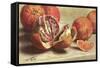 Blood Oranges-null-Framed Stretched Canvas