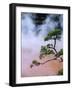 Blood Pond Hell (Chinoike Jigoku), Natural Hot Springs (Onsen), Beppu, Kyushu, Japan-Steve Bavister-Framed Photographic Print