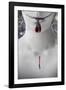 Blood Sucker-Maria J Campos-Framed Photographic Print