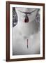 Blood Sucker-Maria J Campos-Framed Photographic Print