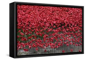 Blood Swept Lands and Seas of Red, Tower of London, 2014-Sheldon Marshall-Framed Stretched Canvas