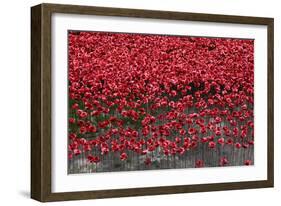 Blood Swept Lands and Seas of Red, Tower of London, 2014-Sheldon Marshall-Framed Photographic Print