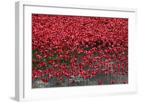 Blood Swept Lands and Seas of Red, Tower of London, 2014-Sheldon Marshall-Framed Photographic Print