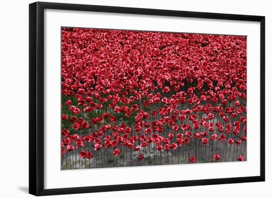 Blood Swept Lands and Seas of Red, Tower of London, 2014-Sheldon Marshall-Framed Photographic Print