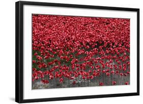 Blood Swept Lands and Seas of Red, Tower of London, 2014-Sheldon Marshall-Framed Photographic Print