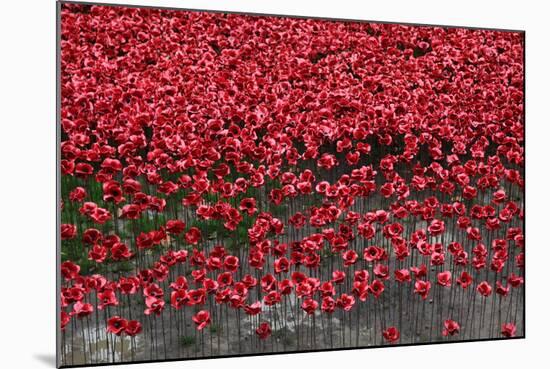 Blood Swept Lands and Seas of Red, Tower of London, 2014-Sheldon Marshall-Mounted Photographic Print