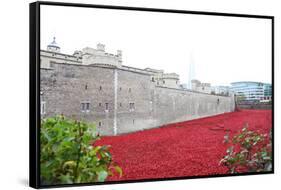 'Blood Swept Lands and Seas of Red', Tower of London, 2014-Sheldon Marshall-Framed Stretched Canvas