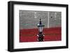 'Blood Swept Lands and Seas of Red', Tower of London, 2014-Sheldon Marshall-Framed Photographic Print