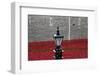 'Blood Swept Lands and Seas of Red', Tower of London, 2014-Sheldon Marshall-Framed Photographic Print