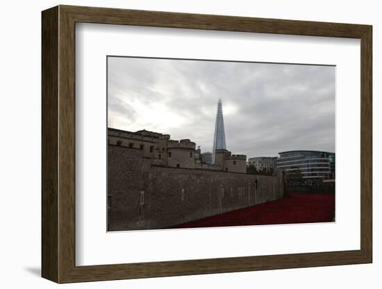 'Blood Swept Lands and Seas of Red', Tower of London, 2014-Sheldon Marshall-Framed Photographic Print