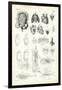 Blood System, 1863-79-Raimundo Petraroja-Framed Giclee Print