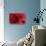 Blood Vessel, Artwork-David Mack-Stretched Canvas displayed on a wall